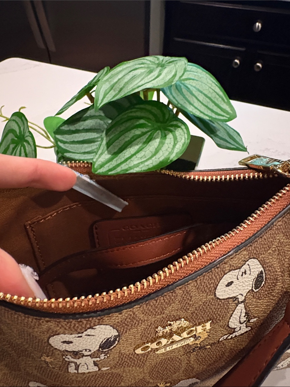 Coach Brown Signature Snoopy Canvas Shoulder Bag - Picture 5 of 5